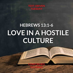 Hebrews 13:1-6 ”Love in a Hostile Culture” Text-Driven Tuesday