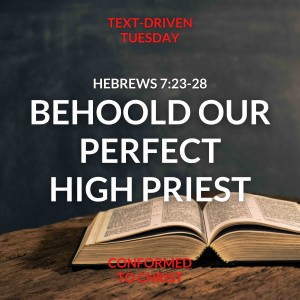 Behold Our Perfect High Priest: Hebrews 7:23-28 — Text-Driven Tuesday