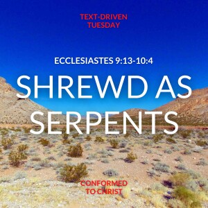 Shrewd As Serpents — Ecclesiastes 9:13-10:3 - Text-Driven Tuesday