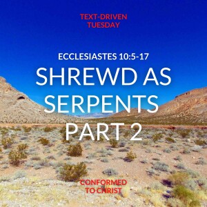 Ecclesiastes 10:5-17 — Shrewd as Serpents Part 2: Text-Driven Tuesday