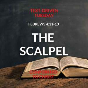 The Scalpel of God’s Word — Text-Driven Tuesday: Hebrews 4:11-13