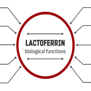 Lactoferrin: an amazing older nutrient with new research