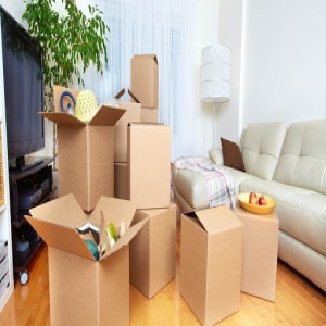 Packers and Movers in Raigarh 