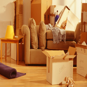 Top 10 Packers and Movers in Raigarh