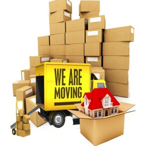 Packers and Movers in Janjgir