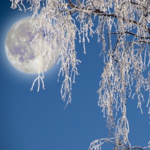 Vollemaanmeditatie voor november - De eerste vorst, door Anne-Marie Böing