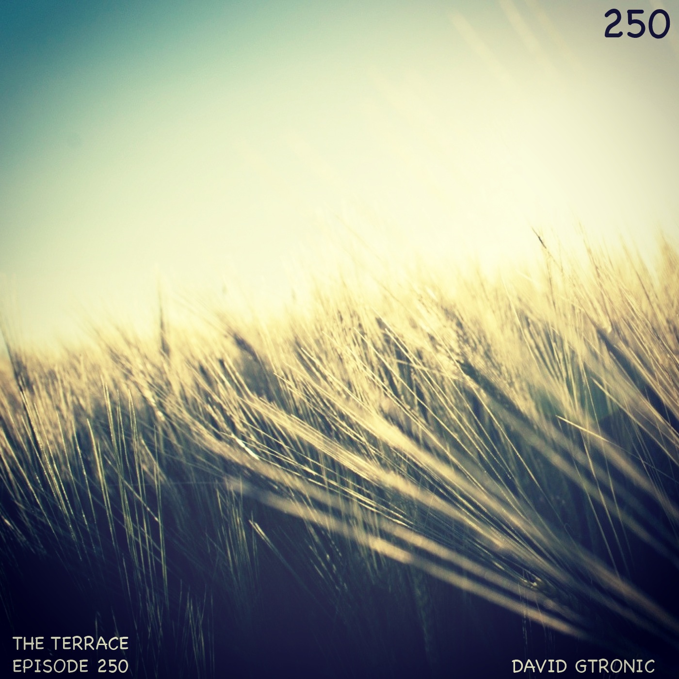 250. The Terrace :: Lagrimas Del Sol :: David Gtronic