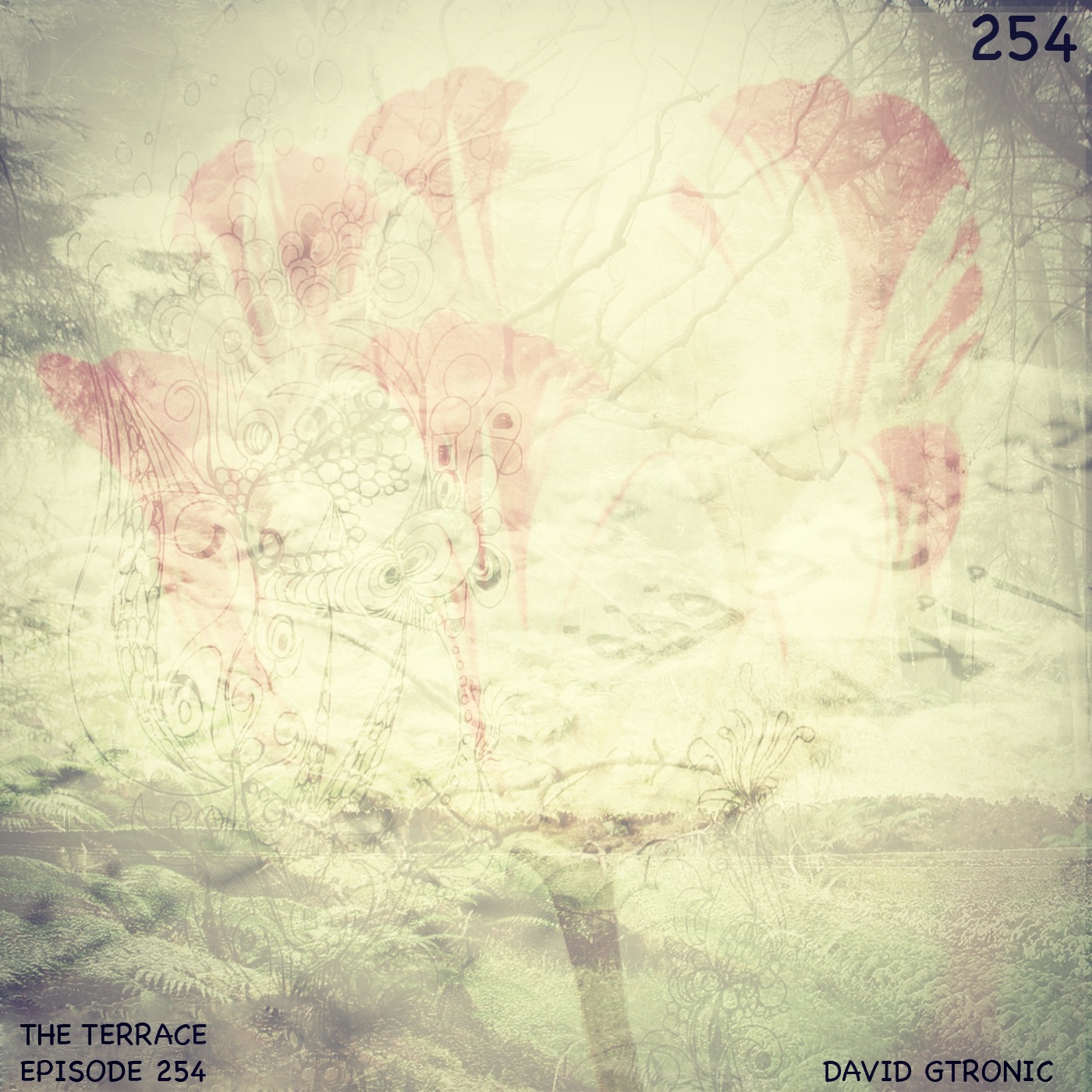 254. The Terrace :: Toroto II :: David Gtronic