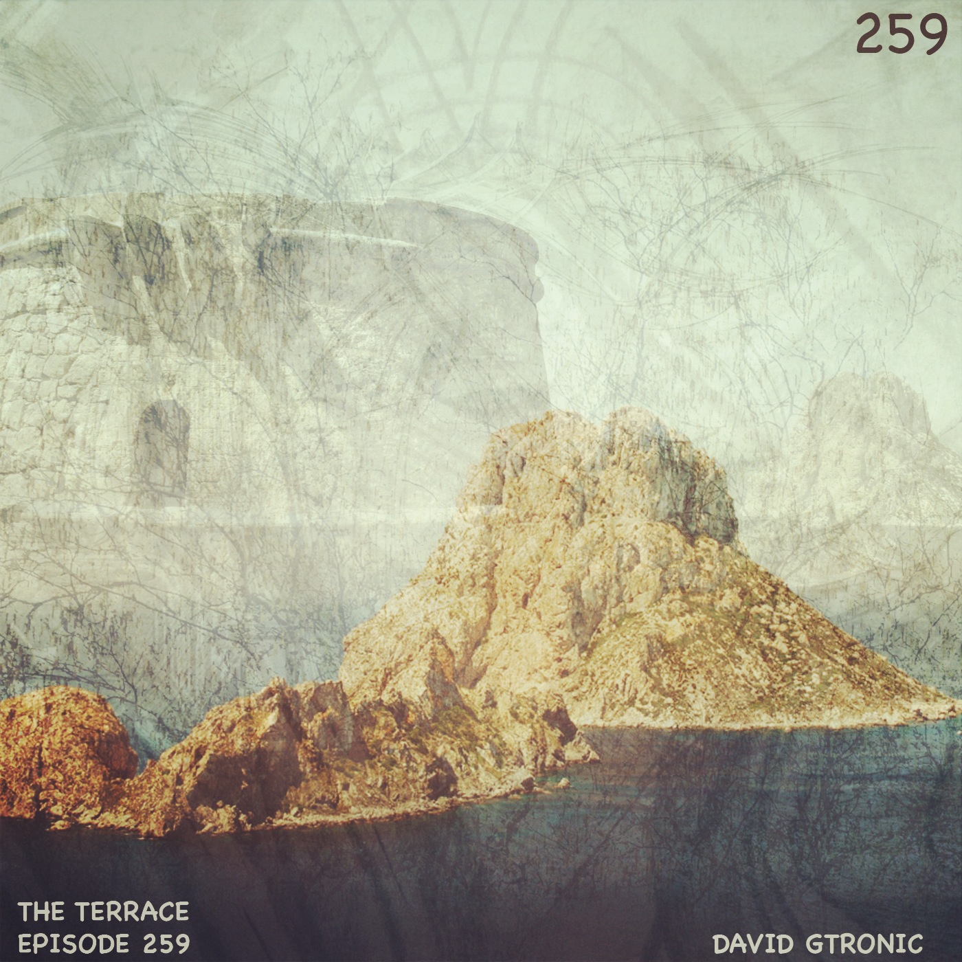 259. The Terrace :: Vedra :: David Gtronic