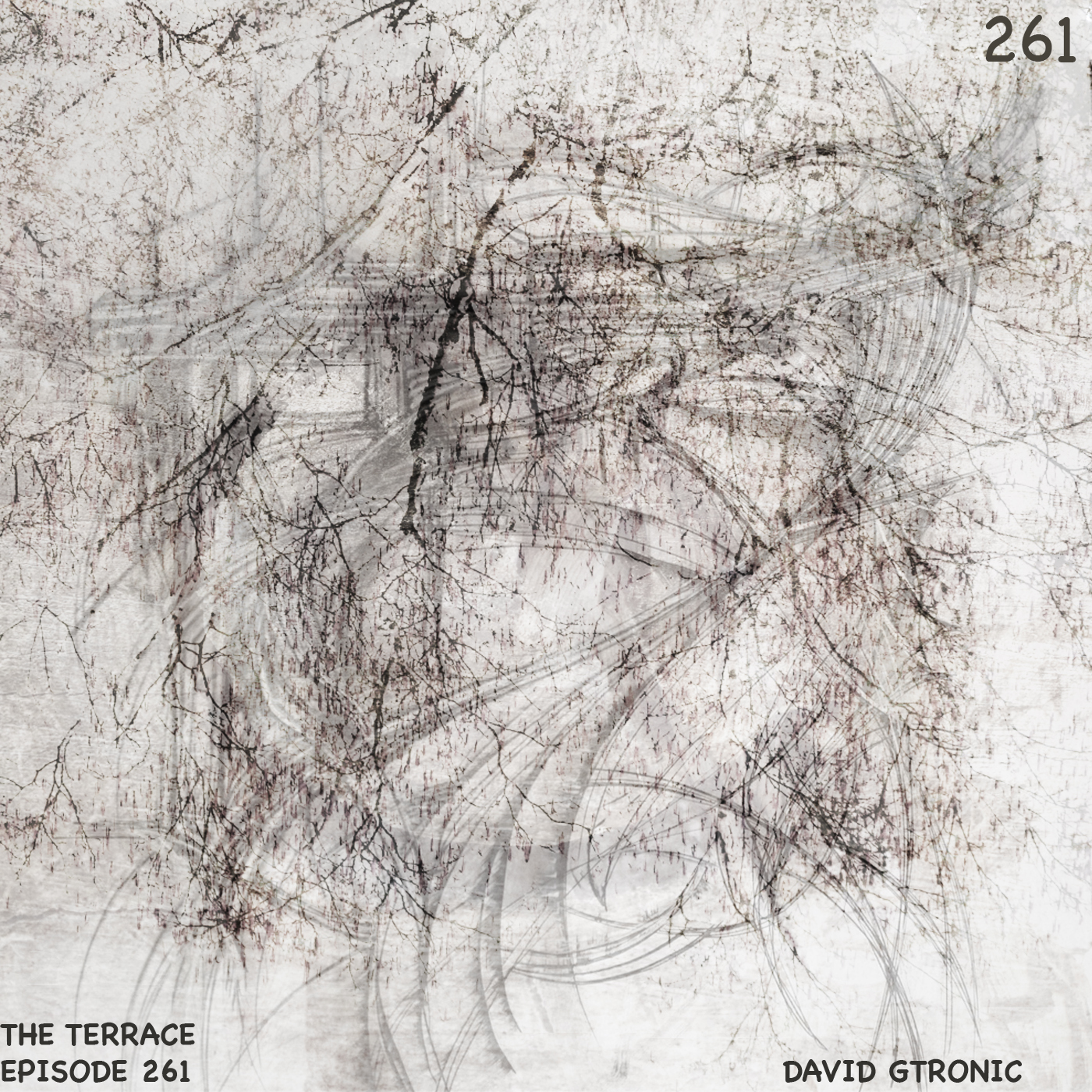 261. The Terrace :: Dominot :: David Gtronic