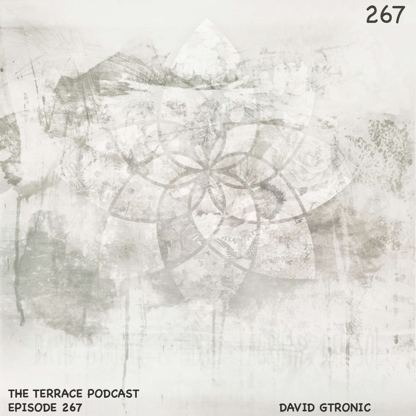 267. The Terrace :: Desolate IV :: David Gtronic