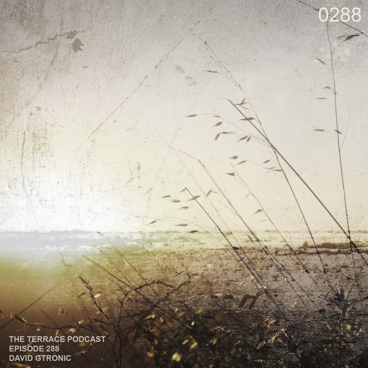 288. The Terrace :: Desolate VI :: David Gtronic