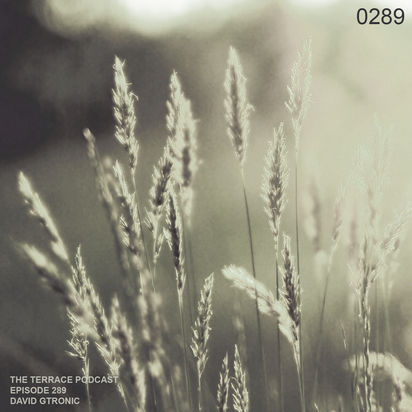 289. The Terrace :: Vedra III :: David Gtronic