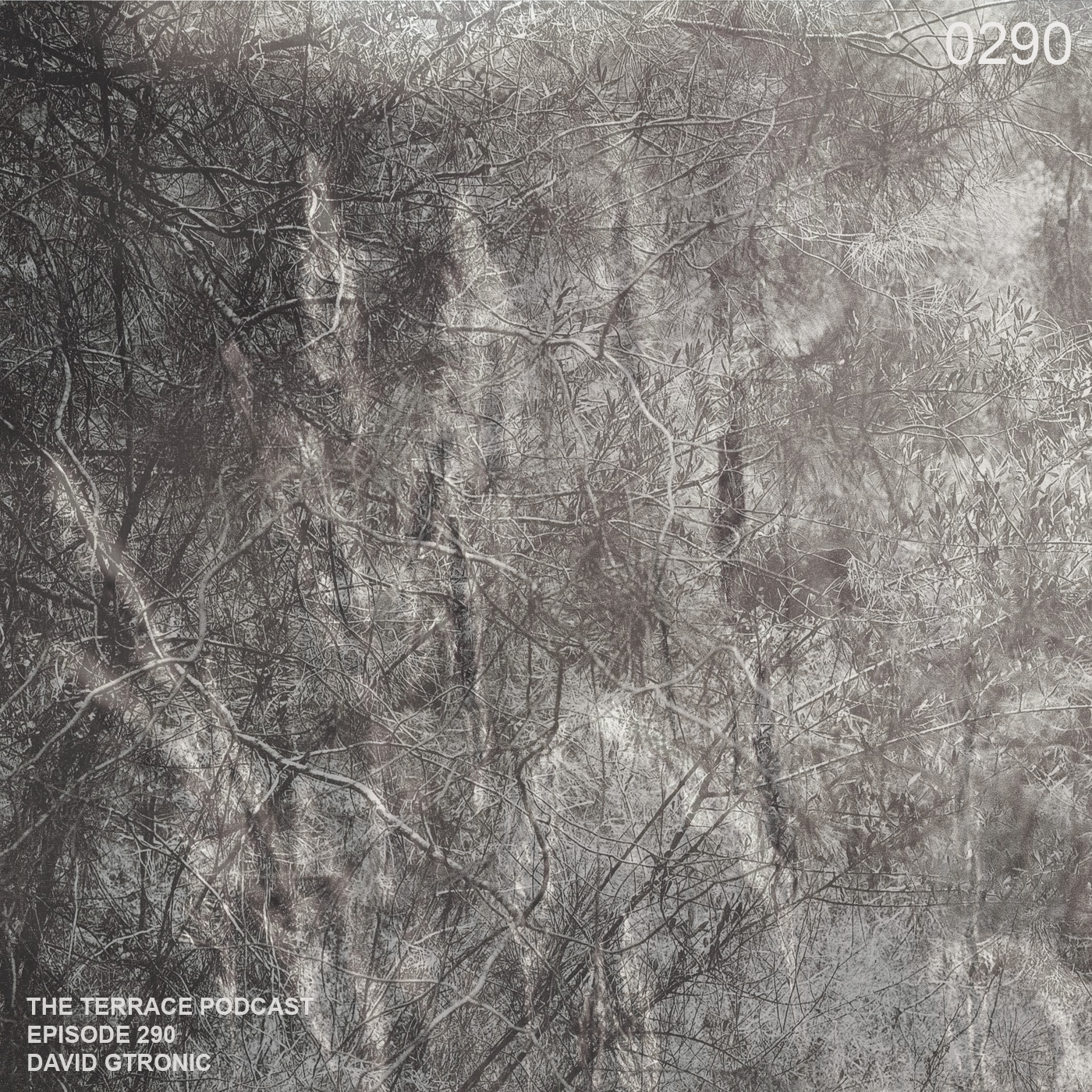 290. The Terrace :: Avstrakt II :: David Gtronic