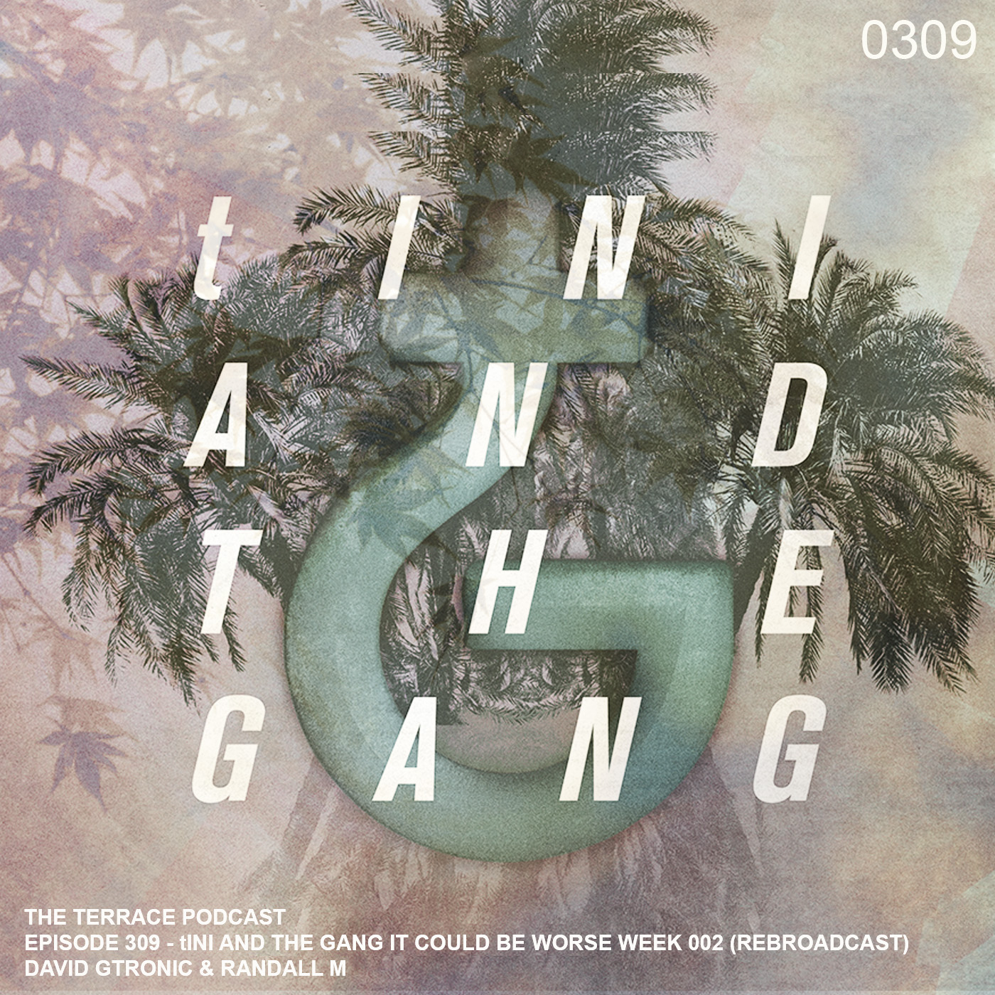 309. The Terrace :: tINI & The Gang It Could Be Worse 002 :: David Gtronic & Randall M