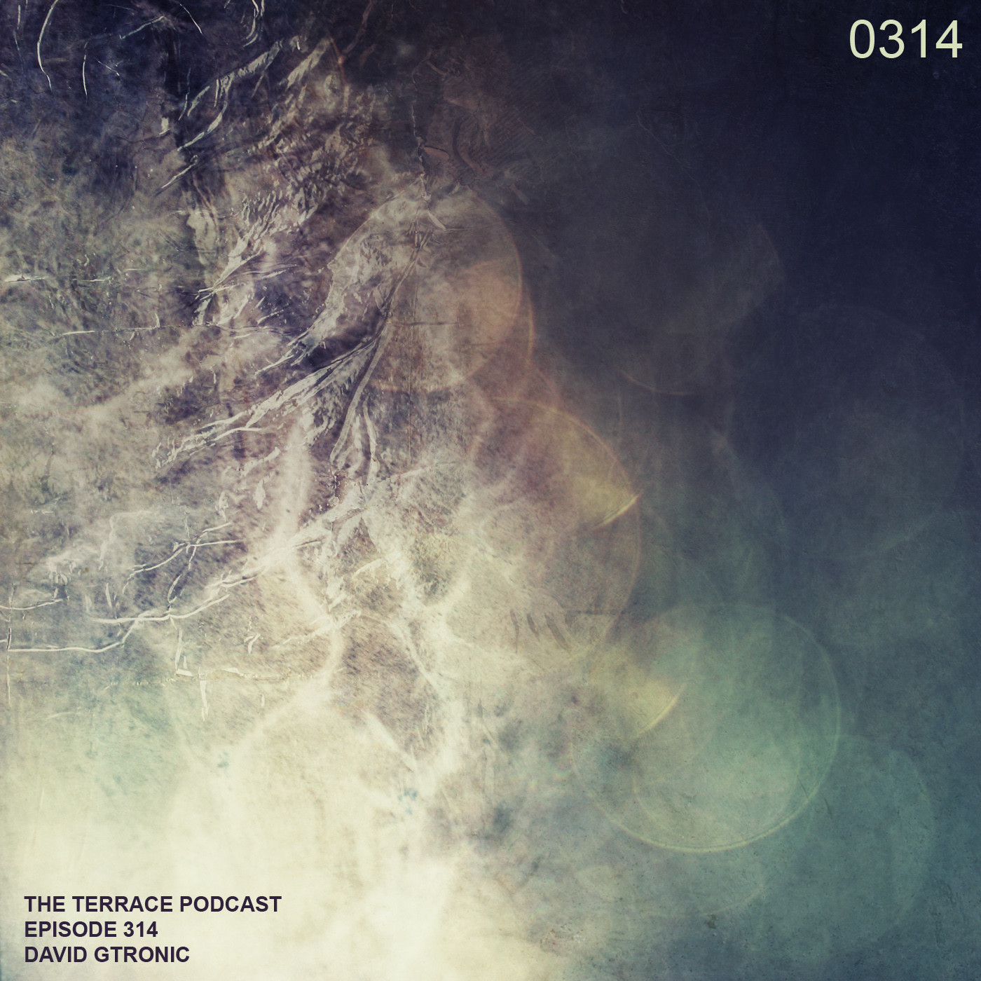 314. The Terrace :: Visionare III :: David Gtronic