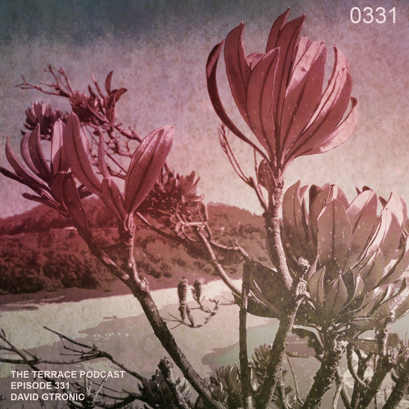 331. The Terrace :: Semuia :: David Gtronic