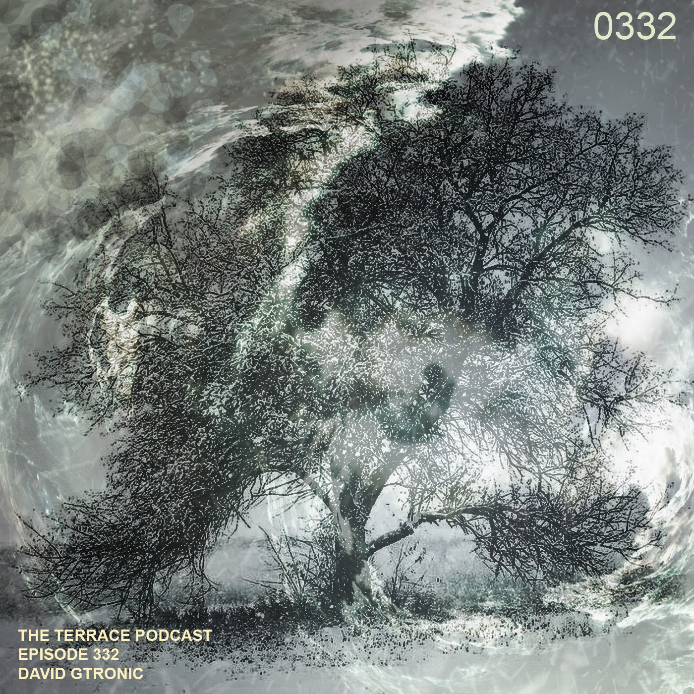 332. The Terrace :: Menra :: David Gtronic