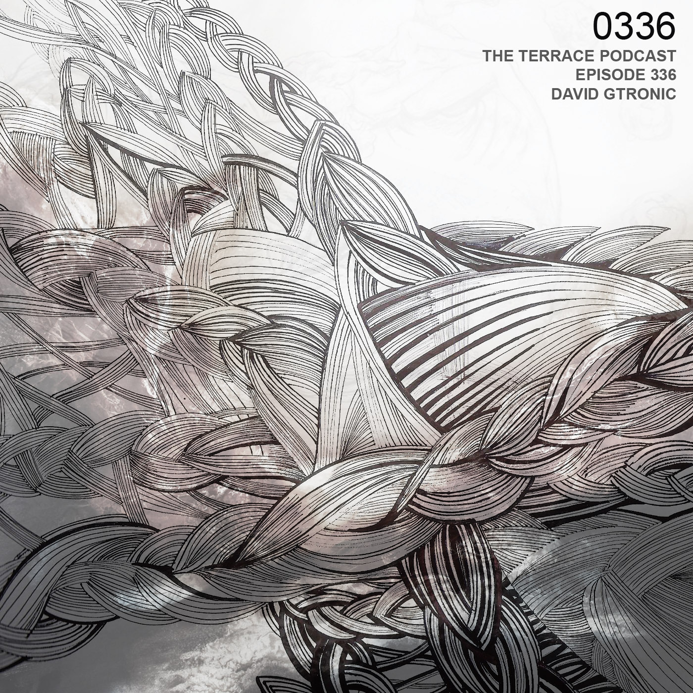 336. The Terrace :: Tanzrar :: David Gtronic