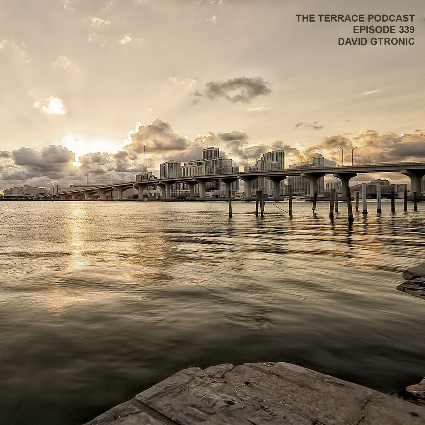 339. The Terrace :: Miami :: David Gtronic