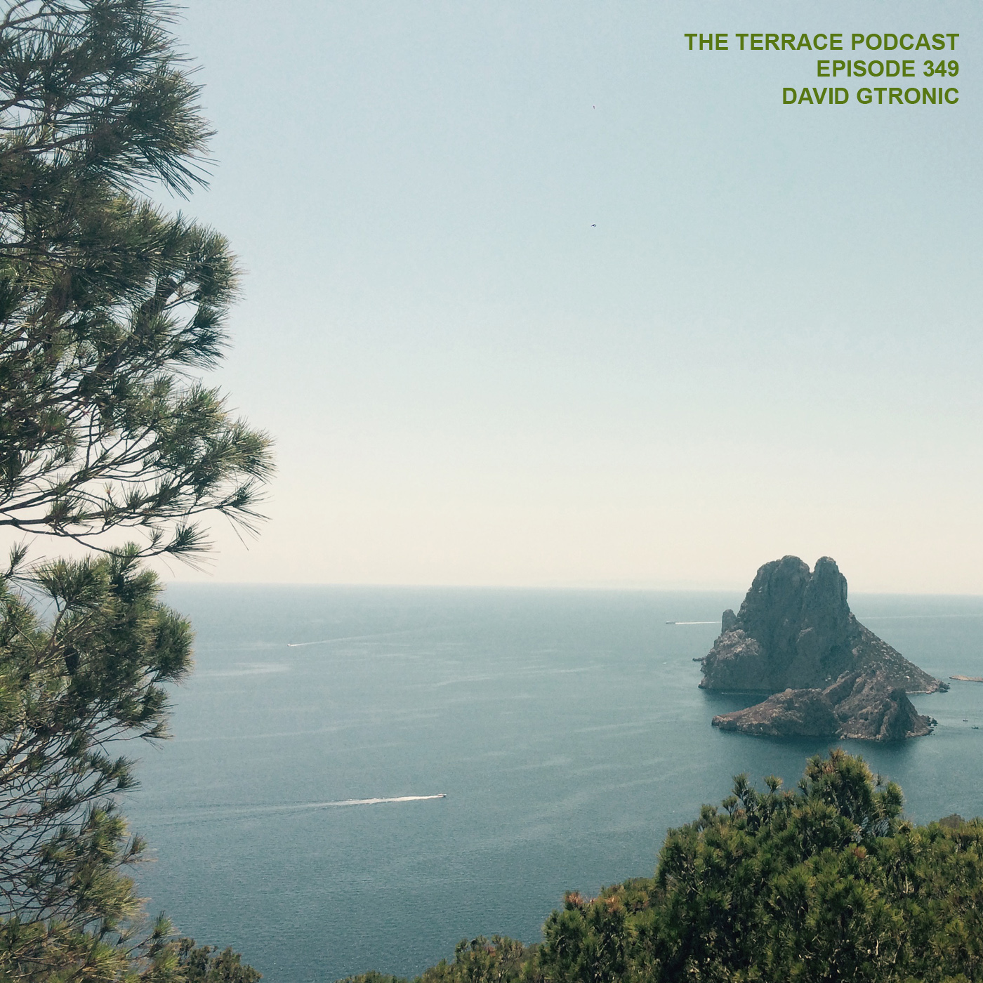 349. The Terrace :: Whiteisle :: David Gtronic