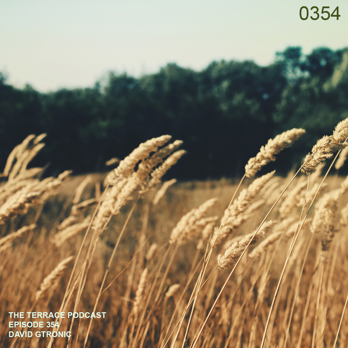 354. The Terrace :: Slova :: David Gtronic