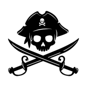 S5, Ep1 Pirates: not so jolly rogers