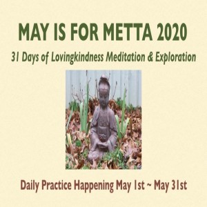 May is for Metta with Beth Terrence