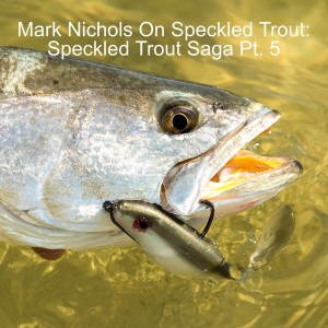 Mark Nichols On Speckled Trout: Speckled Trout Saga Pt. 5