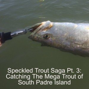 Speckled Trout Saga Pt. 3: Catching The Mega Trout of South Padre Island