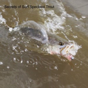 Speckled Trout Saga Pt. 1: Secrets of Surf Speckled Trout