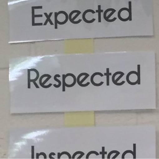 Expect, Inspect and Respect Criticism