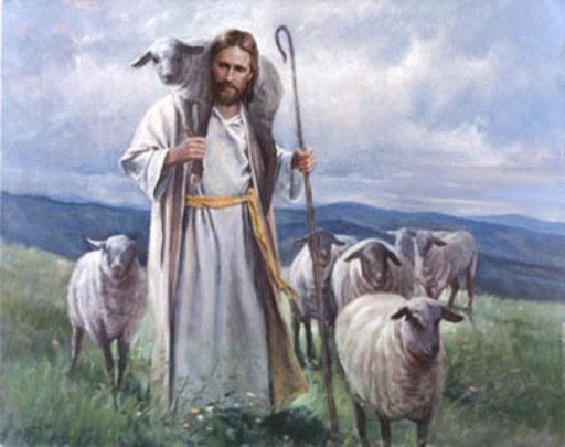 Who is your shepherd?