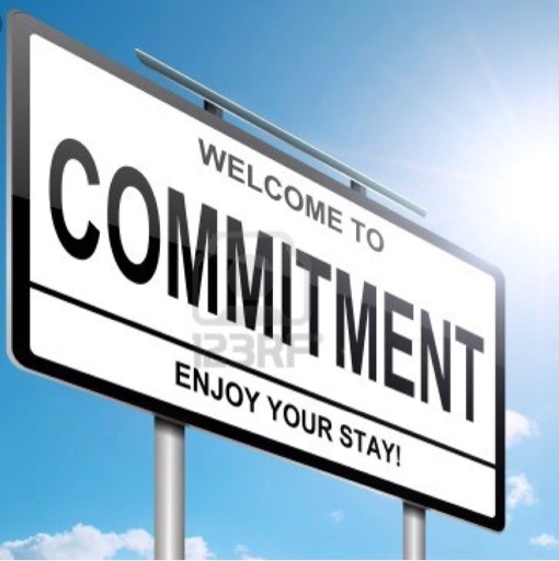 Aduit your commitment