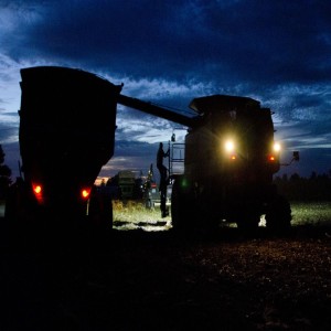 Harvesting in the Dark!