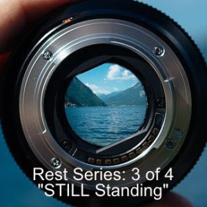 Rest Series 3 of 4 STILL Standing
