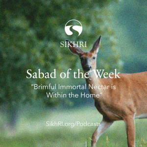 Ep 38: “Brimful Immortal Nectar is Within the Home” (Sabad of the Week)