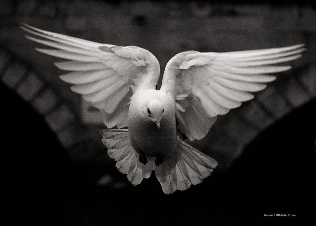 Spiritually Restless