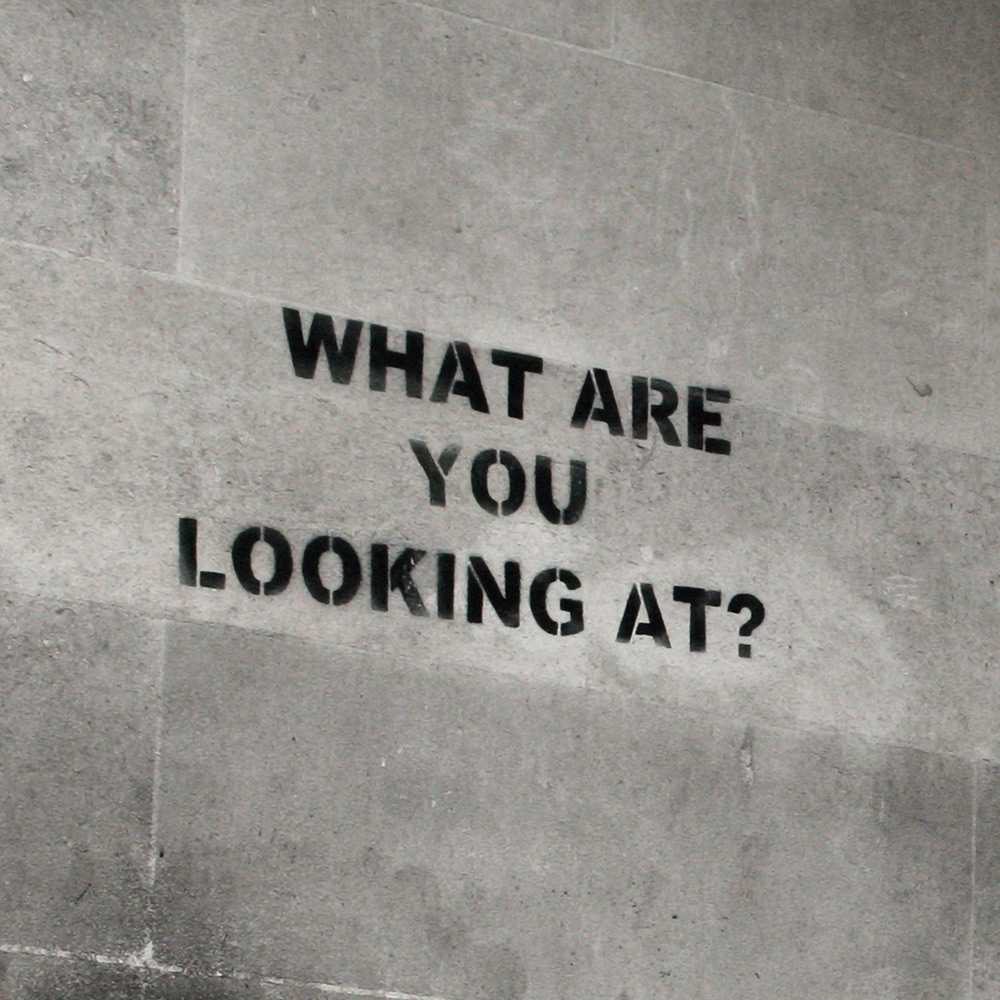 What Are You Looking At?