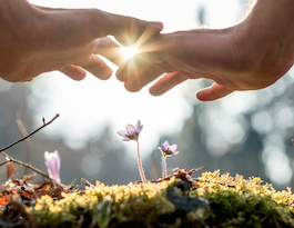 The Basics of Healing