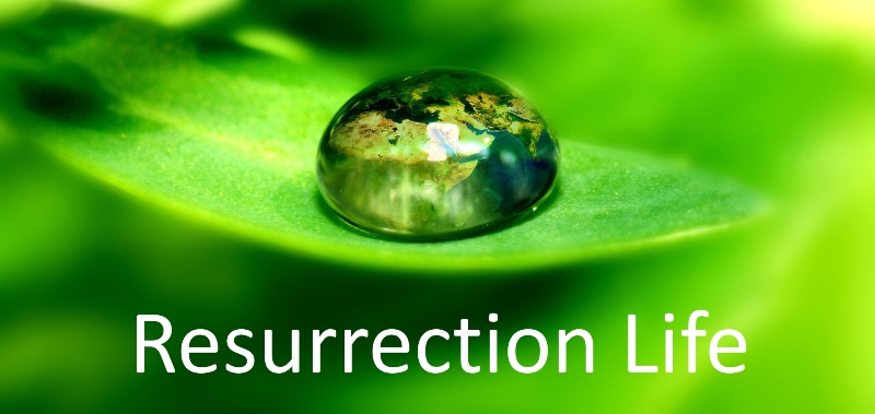 Resurrection Life