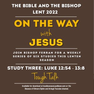 The Bible and the Bishop: On the Way with Jesus - Study 3: Tough Talk
