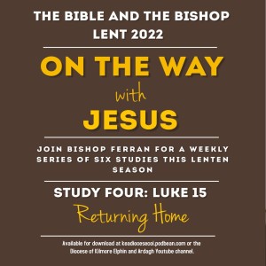 The Bible and the Bishop: On the Way with Jesus - Study 4: Returning home