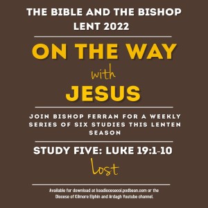 The Bible and the Bishop: On the Way with Jesus Study 5: Lost