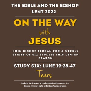 The Bible and The Bishop: On the Way with Jesus Study 6: Tears