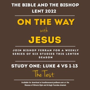 The Bible and the Bishop: On the Way with Jesus - Study 1: The Test
