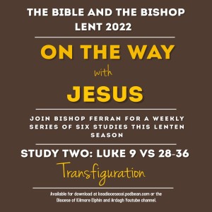 The Bible and the Bishop: On the Way with Jesus - Study 2: Transfiguration