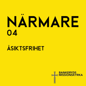 Avsnitt 4: Åsiktsfrihet