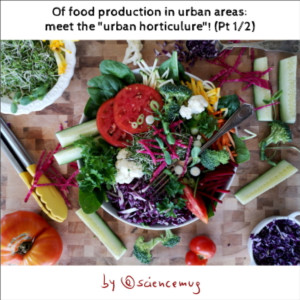 Of food production in urban areas: meet the urban horticulture! (Pt1/2)