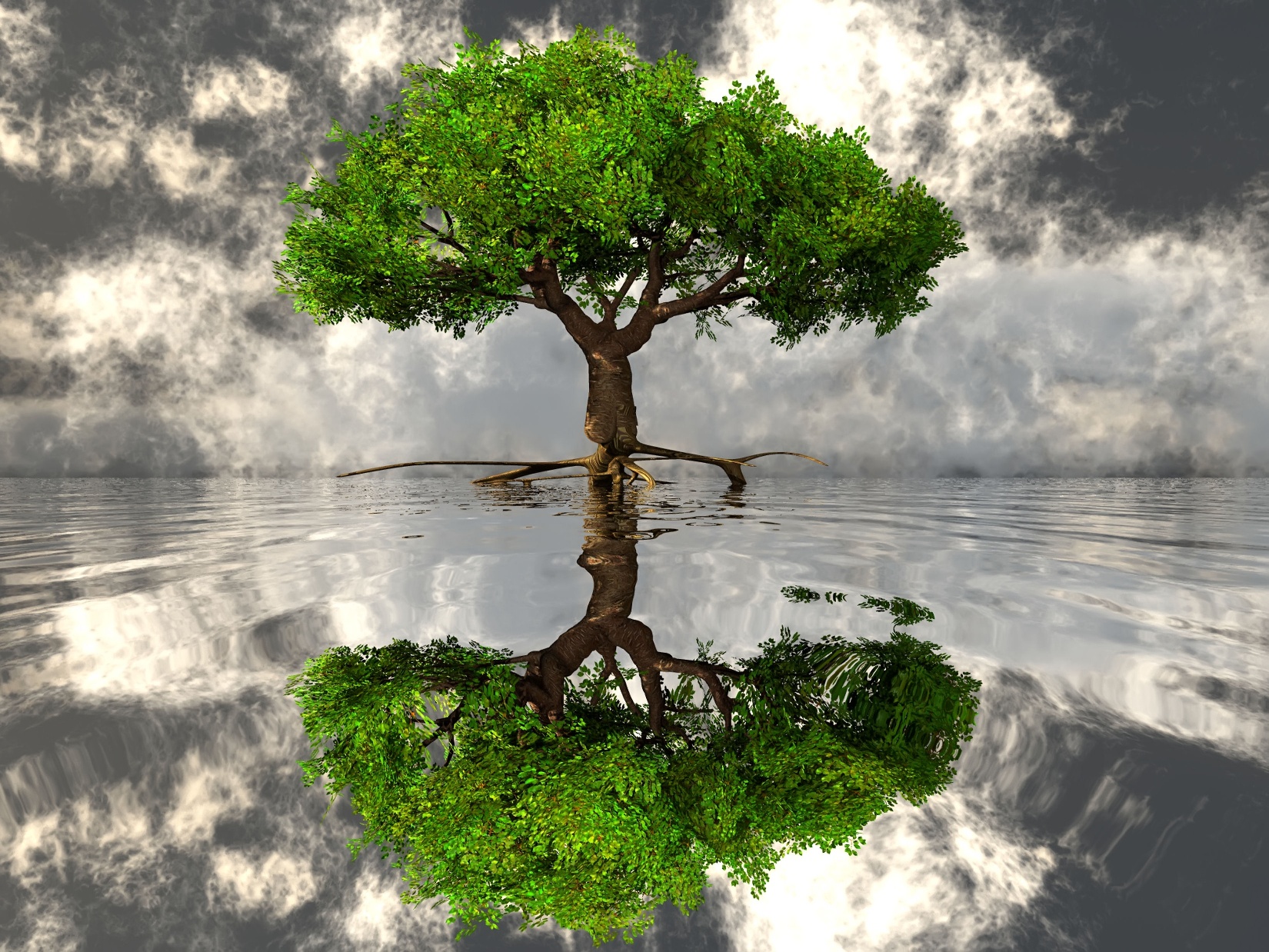 #18 Inspiring Pearls of Wisdom - Essence